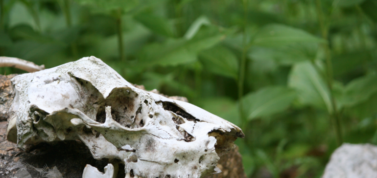 How To Injure Your Characters